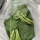 네이버 푸드윈도 산지직송 경기여주 최관호 케일 2kg 구매 후기