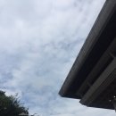 2019 부산남구문화예술회 전시회 | 부산문화회관 빛의화가들 / 전시회 관람 후기 / 부산 실내 데이트 가볼만한곳 문화롭데이