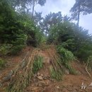 강대성농장 이미지