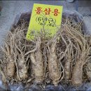 금산인삼사 이미지