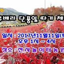 마을회관 앞, 놀이터 앞 이미지