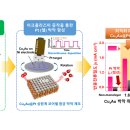 삼원개발 이미지