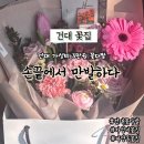 서울자양초등학교 | 건대 가성비 꽃집 손끝에서만발하다 건대본점 3만원 꽃다발 No.19 후기