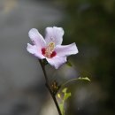 동청목장 이미지