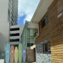 프리팜스 | 하와이 숙소 Honu Waikiki by ALOH 호누 와이키키 / 가성비 호스텔 솔직 후기