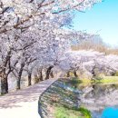 보건복지행정사사무소 | 병원' 리스크 완벽 차단! 국회 보건복지위원회 정책보좌관 출신 행정사와 30년 경력 법무사의 독보적...