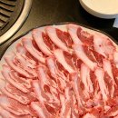 황금덜미 이미지