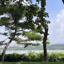 힐링매트 이미지