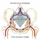 검단사거리 이미지