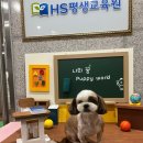 스토리평생교육원