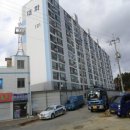 어등대로 이미지