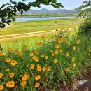 금성초병설유치원 이미지