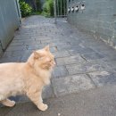 희민농장 이미지