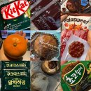 솔롱고스 | 봄이 오기 전