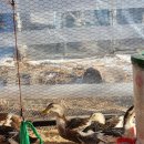 새인농장 이미지