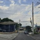 네스트케미칼 이미지