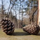 운수사약수터 이미지