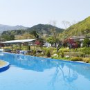 미로정원마을 이미지