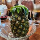 도연검도관 이미지