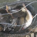 k1한국바다낚시터 이미지