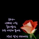 행복한 하루 이미지