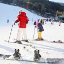 스키여행펜션 이미지