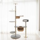 오로라 캣 이미지