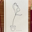 퍼피클럽 이미지