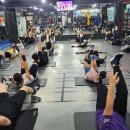 팀베어스복싱짐 이미지