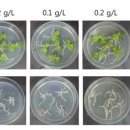 경상슈퍼 이미지