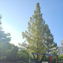 원당근린공원 이미지