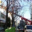 영중초교 이미지