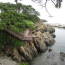 11월16일 울산 해파랑길9코스 봉대산~당사항 27주년 기념 트레킹 이미지