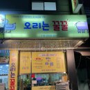 오리는꿀꿀