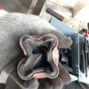 스피드메이트이곡점 이미지