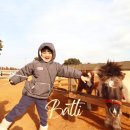 영하목장 | 제주 목장 카페 밭디 ; 승마, 먹이주기 체험, 이색 자전거까지!