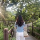 한옥마을로(남) 이미지