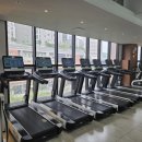 냉정휘트니스 이미지