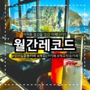 월간레코드 | 성산일출봉카페 제주LP카페 찾는 분들께 딱 월간레코드 솔직 체험 후기