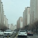 식물가게;릴트 이미지