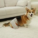 주식회사 케어프로