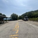 중원-27 | 양평 계곡 ‘중원계곡’ 6/5 반려견 동반 후기(주차장 팁 포함)