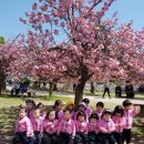 해성어린이집 이미지