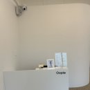 우피(oopie) 네이버블로그
