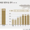 The Cats & Dog 이미지