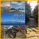 오병이어농장 | 1월 겨울여행1 in. 제주도] 폭설 다음날 한라산 _ 오병이어 서귀포유람선 제주허브동산