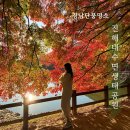 내수면환경생태공원주차장 이미지