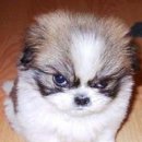 공때리기 이미지