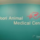 파스텔동물병원 이미지