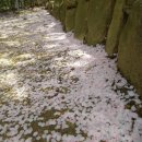 엄광산임도 이미지